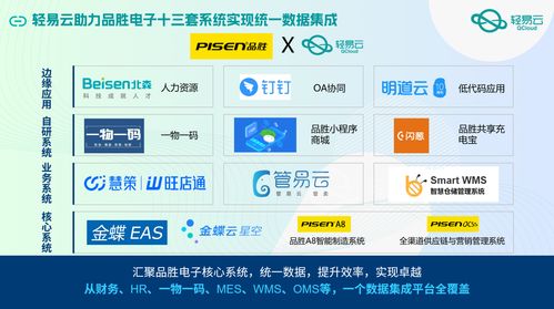 2024年十大數(shù)據(jù)集成工具與應(yīng)用場(chǎng)景解析 賦能信息系統(tǒng)集成服務(wù)