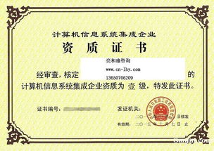 《信息系統(tǒng)集成及服務(wù)項(xiàng)目管理人員登記管理辦法》解讀與應(yīng)用指南