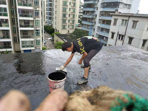 惠州市博羅外墻高空補漏 專業防水補漏工程公司的技術實踐